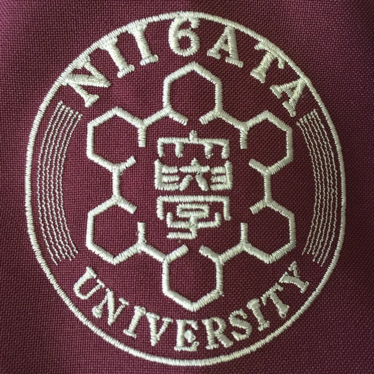 NII6TA UNIVERSITY の刺繍（ディテール）
