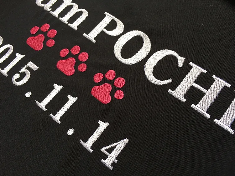 Team POCHI の刺繍（ディテール）