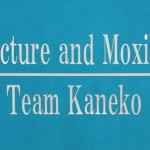 Acupuncture and Moxibustion Team Kaneko