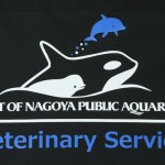 PORT OF NAGOYA PUBLIC AQUARIUM Veterinary Service